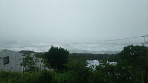 20303D87-03DC-4544-BA3E-8BA41C260D60