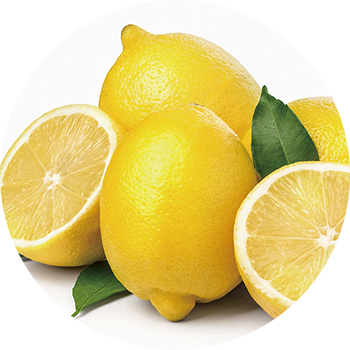 detail_antifrizz_fragrance_01