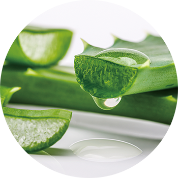 detail_antifrizz_fragrance_02